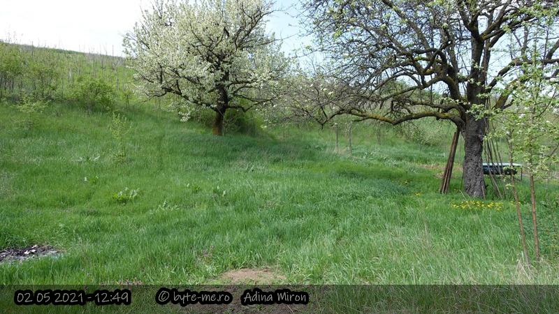 Locul in care la un moment dat va fi sapata groapa pentru un iaz, si un swale (o rigola)